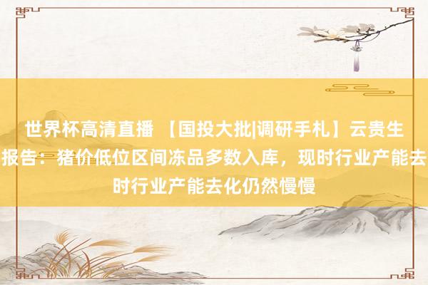世界杯高清直播 【国投大批|调研手札】云贵生猪产业调研报告:猪价低位区间冻品多数入库,现时行业产能去化仍然慢慢