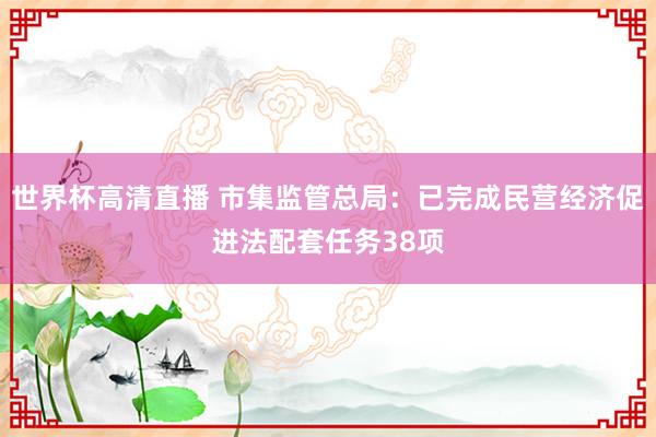 世界杯高清直播 市集监管总局:已完成民营经济促进法配套任务38项