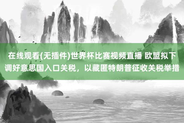 在线观看(无插件)世界杯比赛视频直播 欧盟拟下调好意思国入口关税,以藏匿特朗普征收关税举措