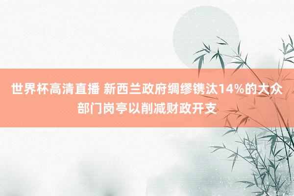 世界杯高清直播 新西兰政府绸缪镌汰14%的大众部门岗亭以削减财政开支