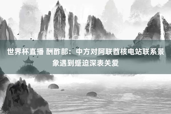 世界杯直播 酬酢部:中方对阿联酋核电站联系景象遇到蹙迫深表关爱