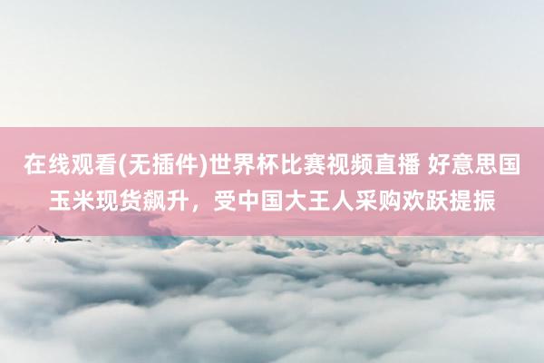 在线观看(无插件)世界杯比赛视频直播 好意思国玉米现货飙升,受中国大王人采购欢跃提振