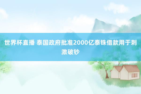 世界杯直播 泰国政府批准2000亿泰铢借款用于刺激破钞