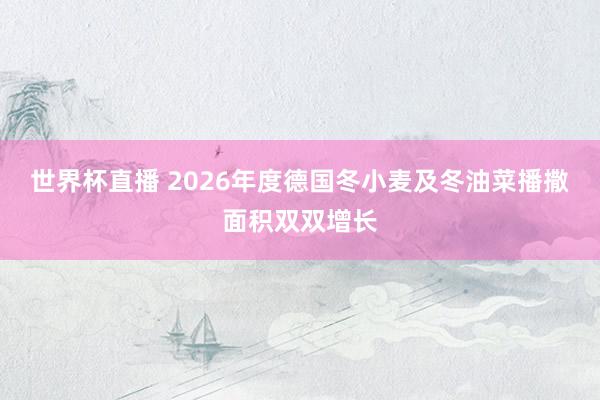 世界杯直播 2026年度德国冬小麦及冬油菜播撒面积双双增长