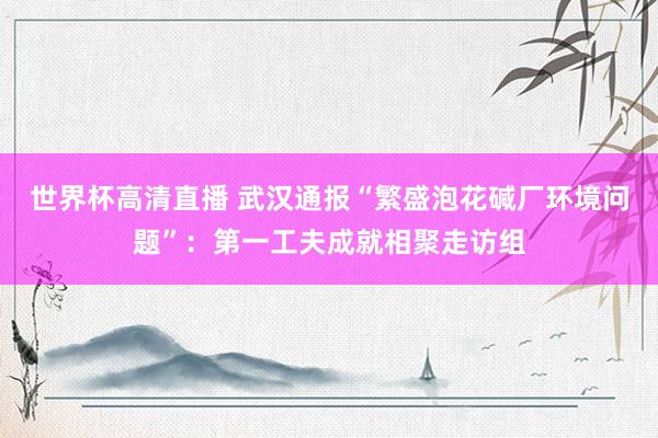 世界杯高清直播 武汉通报“繁盛泡花碱厂环境问题”：第一工夫成就相聚走访组