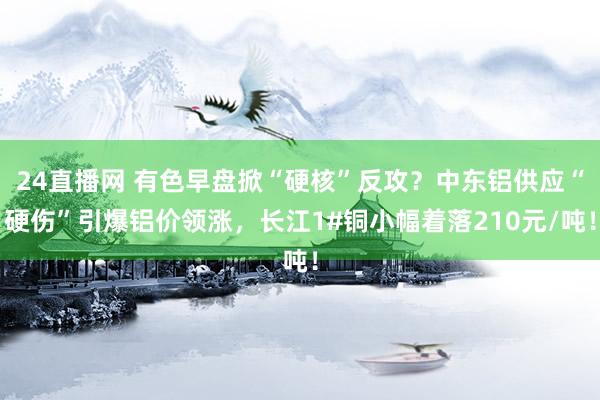 24直播网 有色早盘掀“硬核”反攻？中东铝供应“硬伤”引爆铝价领涨，长江1#铜小幅着落210元/吨！