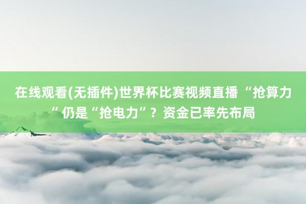 在线观看(无插件)世界杯比赛视频直播 “抢算力”仍是“抢电力”？资金已率先布局