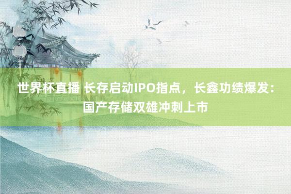 世界杯直播 长存启动IPO指点,长鑫功绩爆发:国产存储双雄冲刺上市