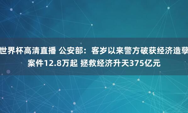世界杯高清直播 公安部:客岁以来警方破获经济造孽案件12.8万起 拯救经济升天375亿元