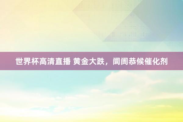 世界杯高清直播 黄金大跌,阛阓恭候催化剂
