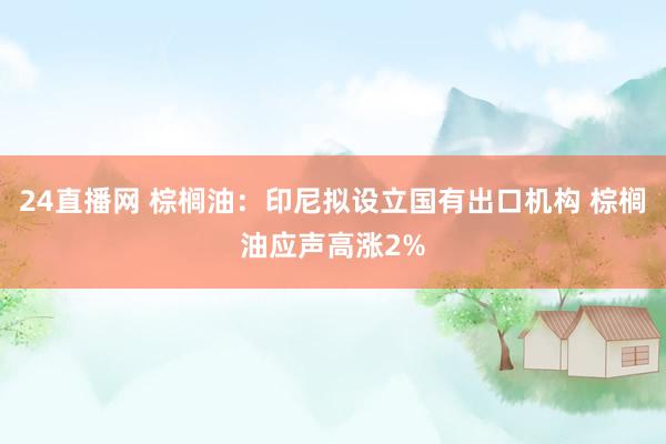 24直播网 棕榈油:印尼拟设立国有出口机构 棕榈油应声高涨2%
