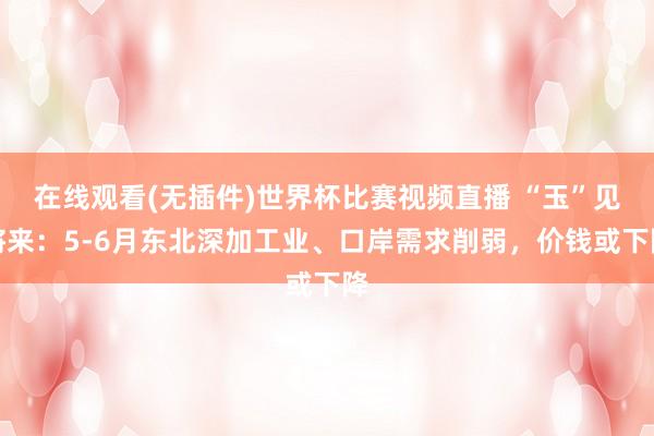 在线观看(无插件)世界杯比赛视频直播 “玉”见将来:5-6月东北深加工业、口岸需求削弱,价钱或下降