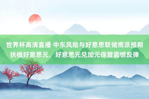 世界杯高清直播 中东风险与好意思联储鹰派预期扶植好意思元,好意思元兑加元保管震憾反弹