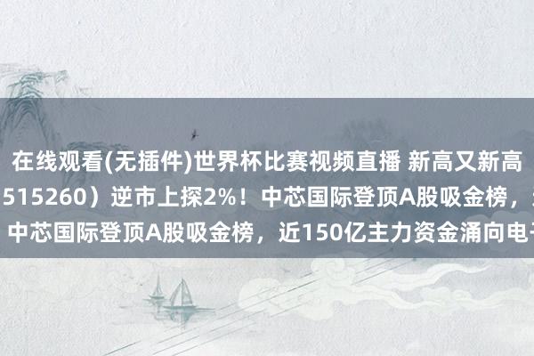 在线观看(无插件)世界杯比赛视频直播 新高又新高!华宝基金电子ETF(515260)逆市上探2%!中芯国际登顶A股吸金榜,近150亿主力资金涌向电子