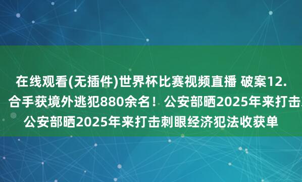 在线观看(无插件)世界杯比赛视频直播 破案12.8万起!挽损375亿!合手获境外逃犯880余名!公安部晒2025年来打击刺眼经济犯法收获单