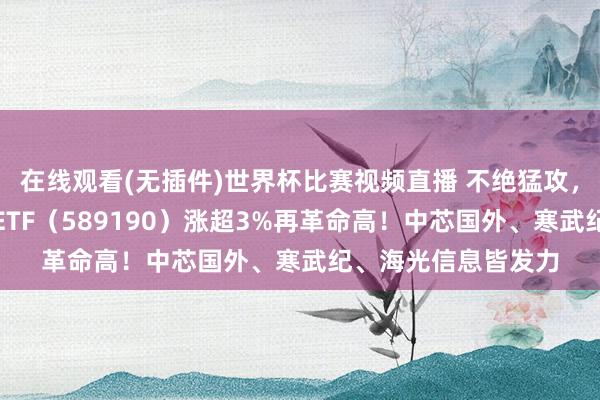 在线观看(无插件)世界杯比赛视频直播 不绝猛攻,华宝基金科创芯片ETF(589190)涨超3%再革命高!中芯国外、寒武纪、海光信息皆发力