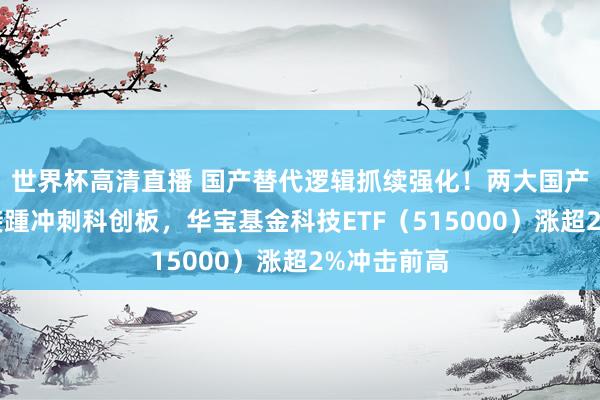 世界杯高清直播 国产替代逻辑抓续强化!两大国产存储龙头接踵冲刺科创板,华宝基金科技ETF(515000)涨超2%冲击前高