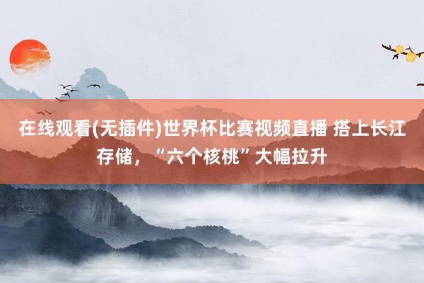 在线观看(无插件)世界杯比赛视频直播 搭上长江存储，“六个核桃”大幅拉升