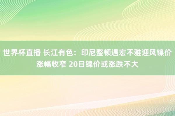 世界杯直播 长江有色：印尼整顿遇宏不雅迎风镍价涨幅收窄 20日镍价或涨跌不大