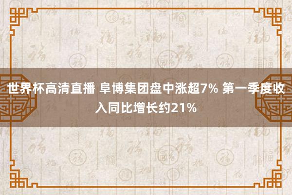 世界杯高清直播 阜博集团盘中涨超7% 第一季度收入同比增长约21%