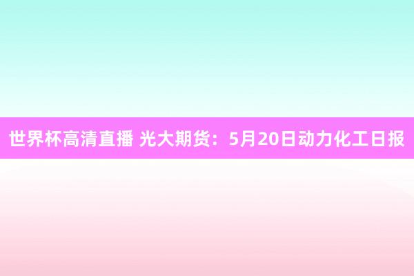 世界杯高清直播 光大期货:5月20日动力化工日报