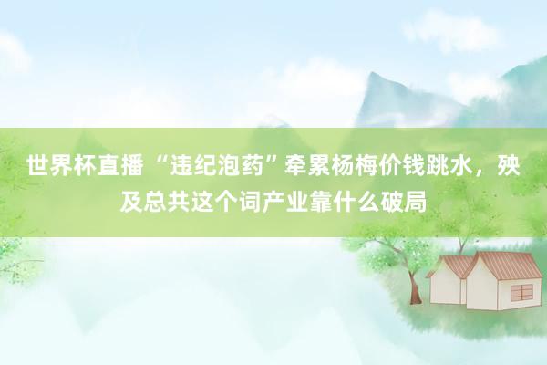 世界杯直播 “违纪泡药”牵累杨梅价钱跳水,殃及总共这个词产业靠什么破局