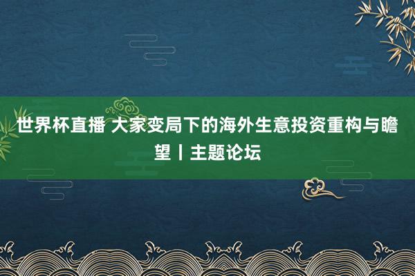 世界杯直播 大家变局下的海外生意投资重构与瞻望丨主题论坛