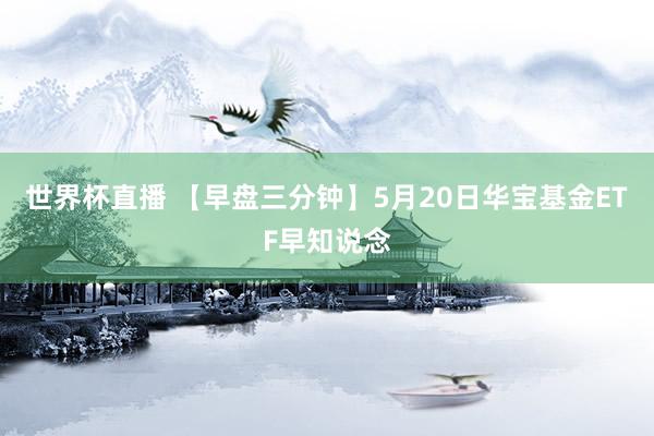 世界杯直播 【早盘三分钟】5月20日华宝基金ETF早知说念