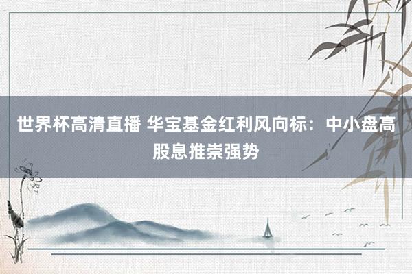 世界杯高清直播 华宝基金红利风向标：中小盘高股息推崇强势