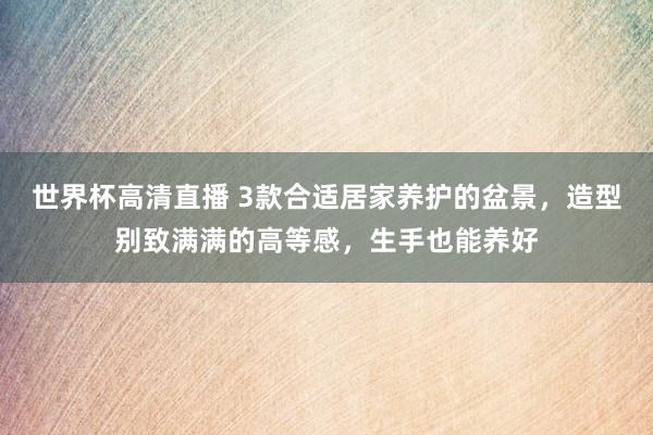 世界杯高清直播 3款合适居家养护的盆景,造型别致满满的高等感,生手也能养好