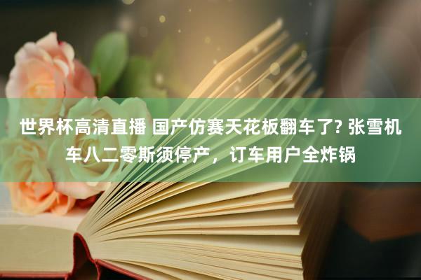 世界杯高清直播 国产仿赛天花板翻车了? 张雪机车八二零斯须停产,订车用户全炸锅