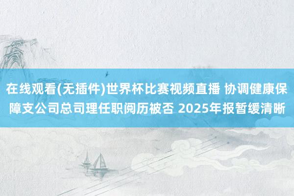 在线观看(无插件)世界杯比赛视频直播 协调健康保障支公司总司理任职阅历被否 2025年报暂缓清晰