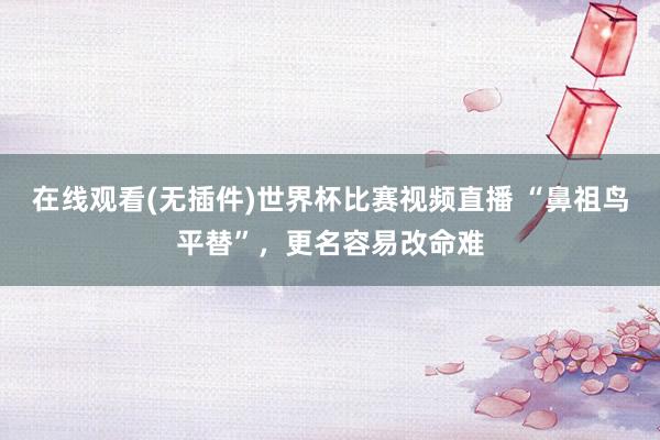 在线观看(无插件)世界杯比赛视频直播 “鼻祖鸟平替”,更名容易改命难