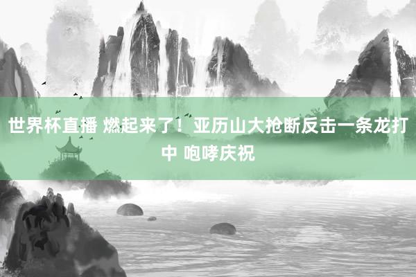 世界杯直播 燃起来了！亚历山大抢断反击一条龙打中 咆哮庆祝