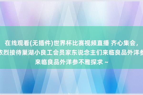 在线观看(无插件)世界杯比赛视频直播 齐心集会,谦和相伴 | 浓烈接待巢湖小良工会员家东说念主们来临良品外洋参不雅探求 ~