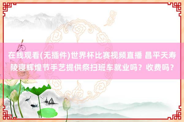在线观看(无插件)世界杯比赛视频直播 昌平天寿陵寝辉煌节手艺提供祭扫班车就业吗?收费吗?