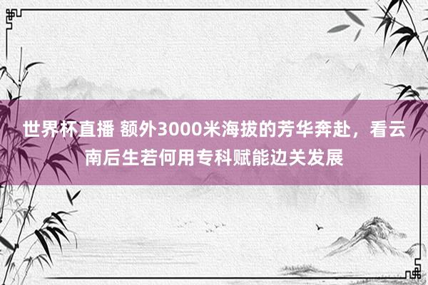 世界杯直播 额外3000米海拔的芳华奔赴,看云南后生若何用专科赋能边关发展