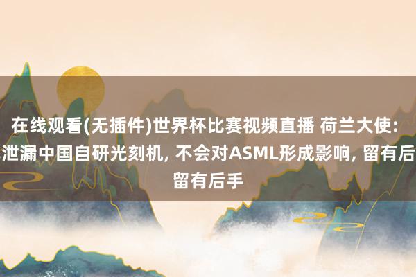 在线观看(无插件)世界杯比赛视频直播 荷兰大使: 已泄漏中国自研光刻机, 不会对ASML形成影响, 留有后手