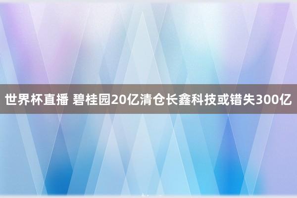 世界杯直播 碧桂园20亿清仓长鑫科技或错失300亿