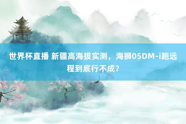 世界杯直播 新疆高海拔实测,海狮05DM-i跑远程到底行不成?
