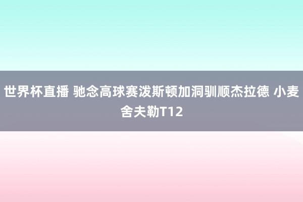 世界杯直播 驰念高球赛泼斯顿加洞驯顺杰拉德 小麦舍夫勒T12