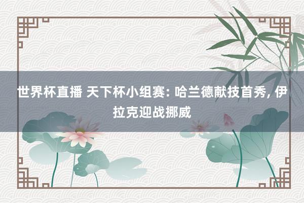 世界杯直播 天下杯小组赛: 哈兰德献技首秀, 伊拉克迎战挪威