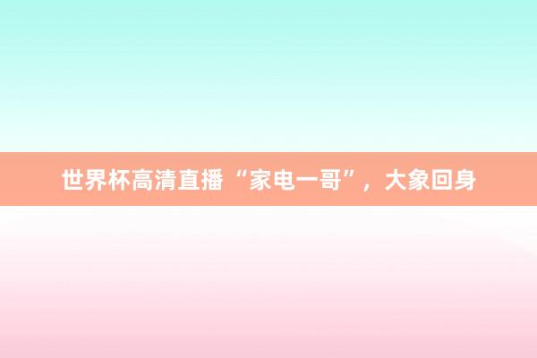 世界杯高清直播 “家电一哥”，大象回身