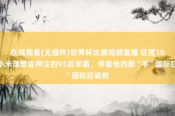在线观看(无插件)世界杯比赛视频直播 狂揽10亿!小米理想皆押注的95后学霸,带着他的新“手”国际狂吸粉