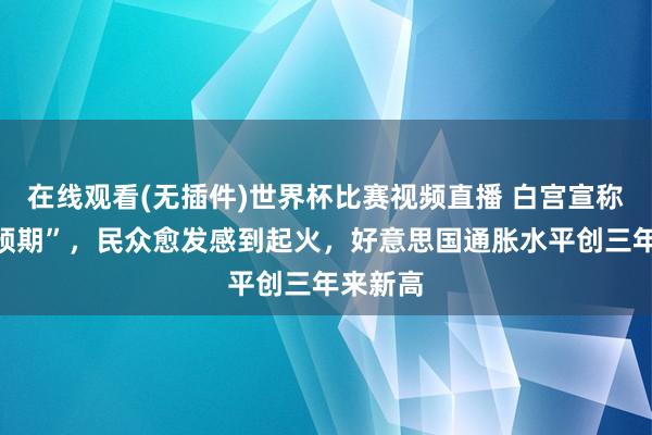在线观看(无插件)世界杯比赛视频直播 白宫宣称“合乎预期”，民众愈发感到起火，好意思国通胀水平创三年来新高