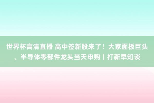 世界杯高清直播 高中签新股来了!大家面板巨头、半导体零部件龙头当天申购丨打新早知谈