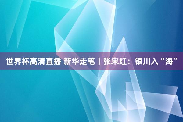 世界杯高清直播 新华走笔丨张宋红:银川入“海”