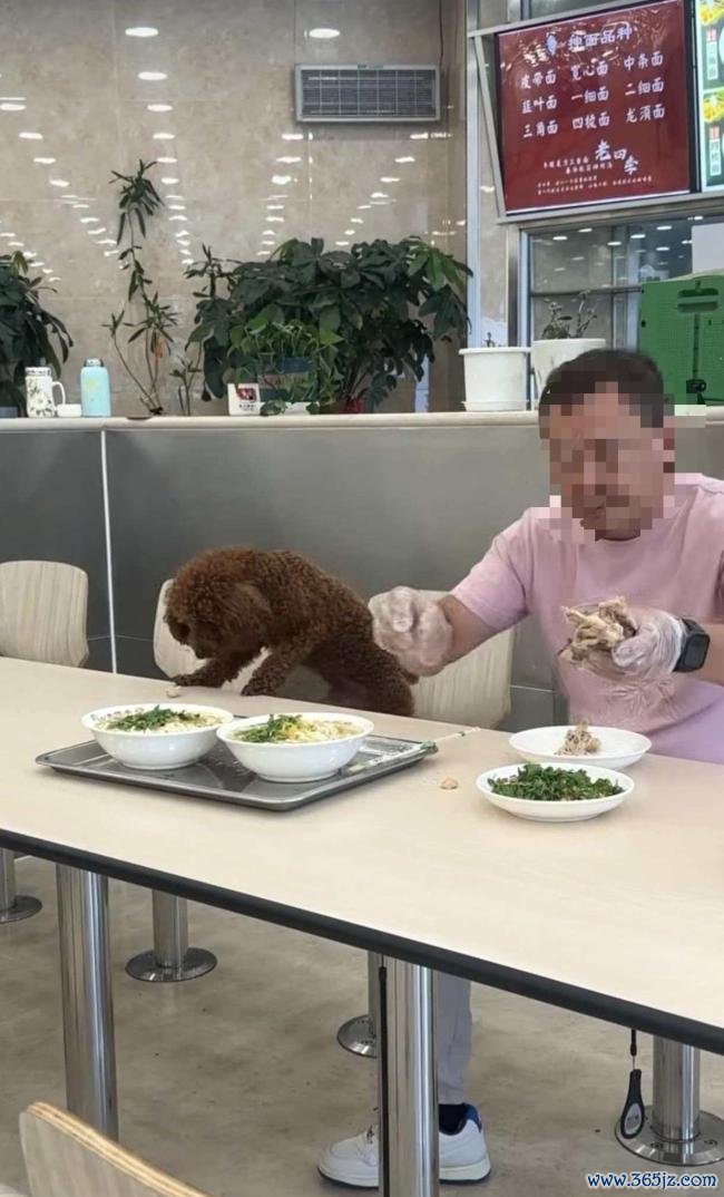 男人饭馆就餐让宠物狗在餐桌进食 激励网友热议