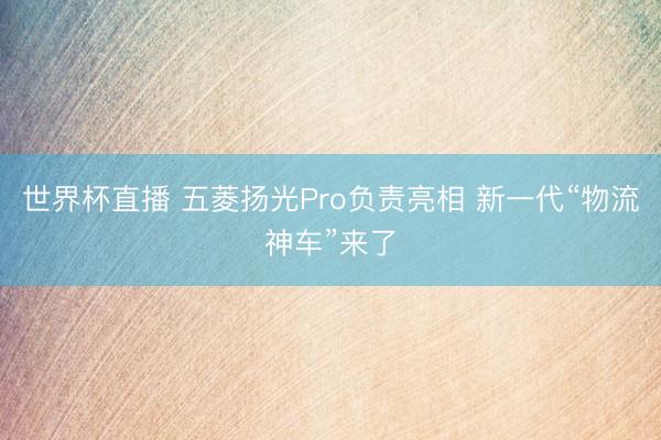 世界杯直播 五菱扬光Pro负责亮相 新一代“物流神车”来了